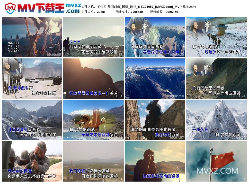 王伟军-梦回西藏_国语_流行_MEC01052